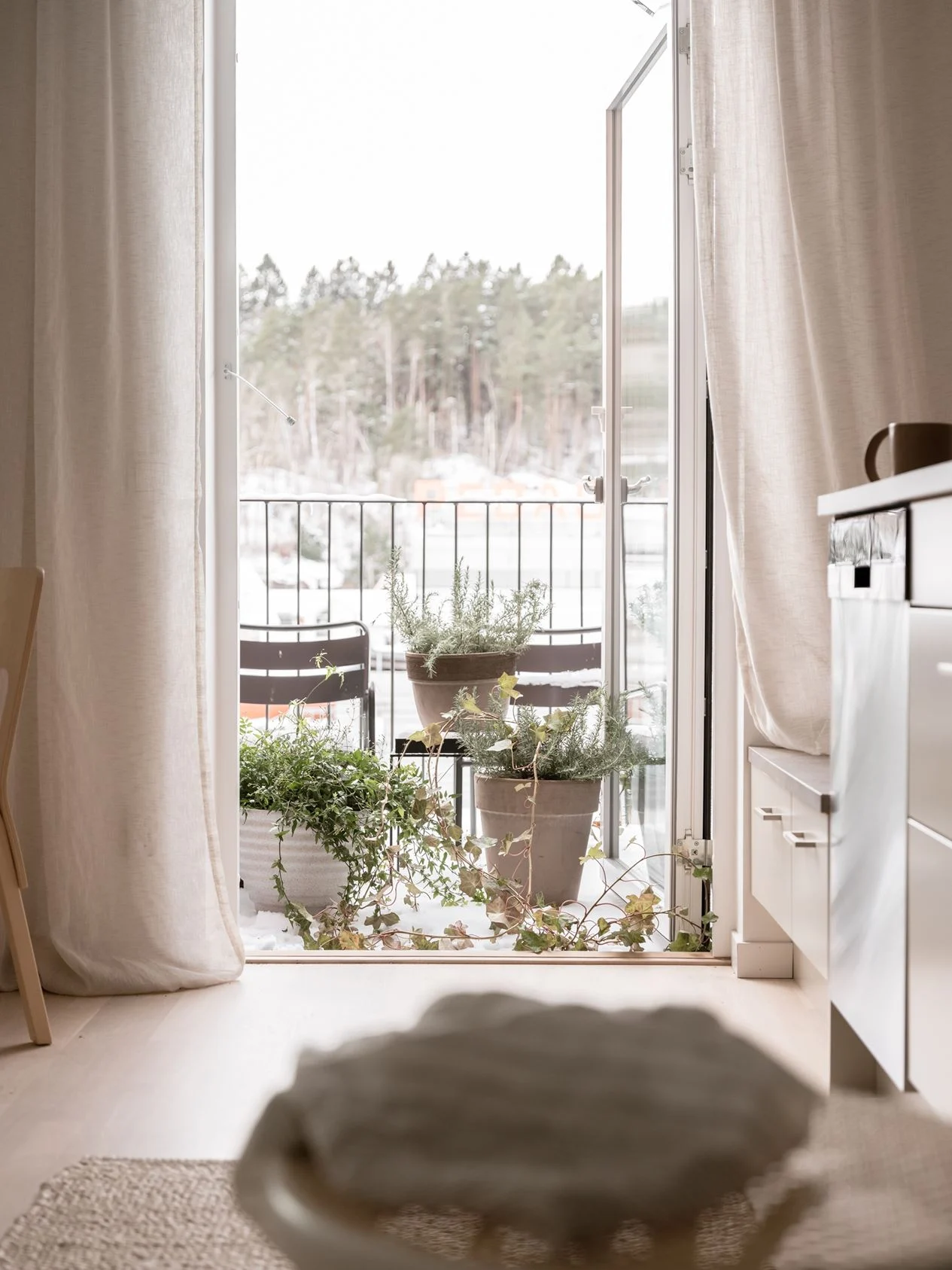 balcon avec plantes