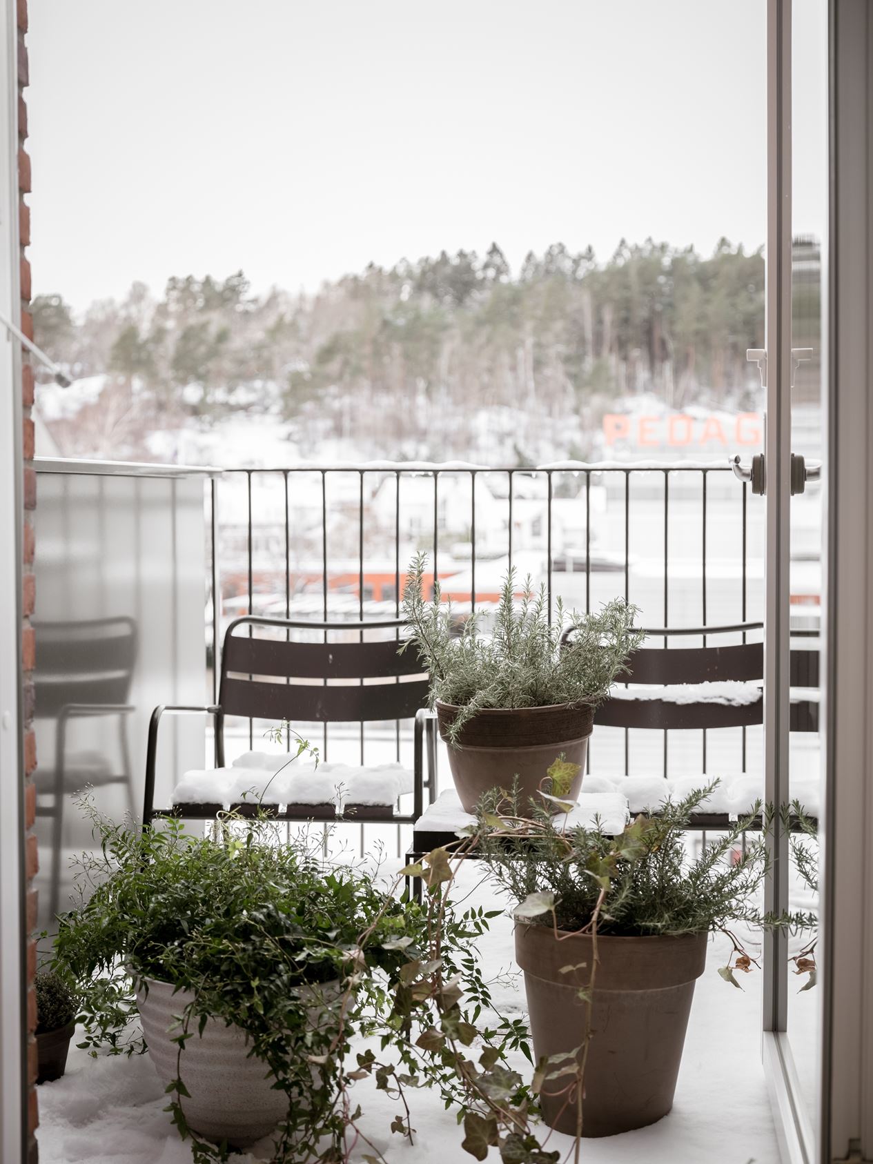 balcon avec plantes