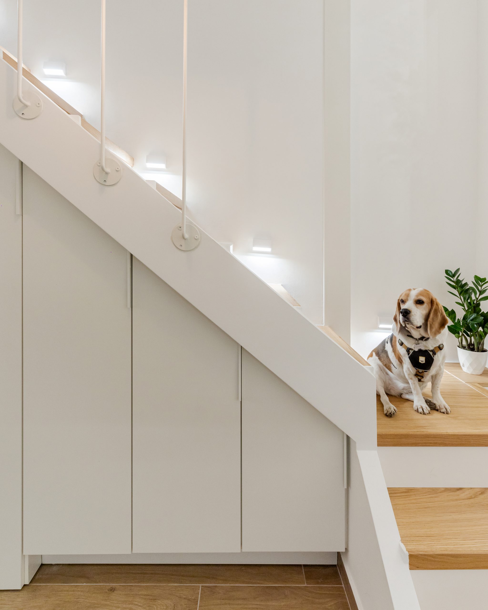placard sous escalier placard sous escalier