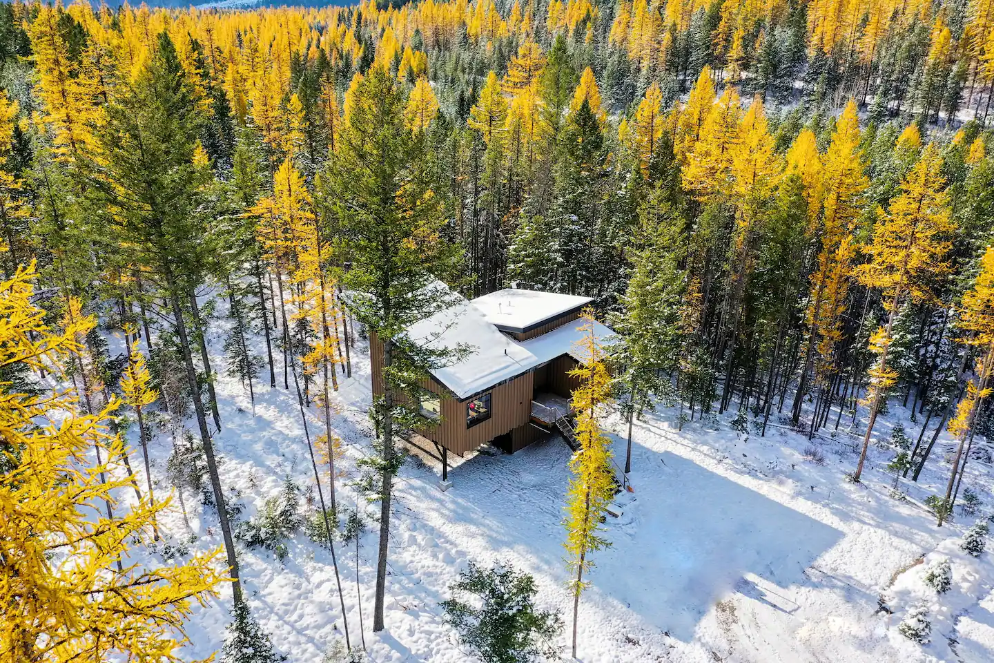 maison en bois contemporaine