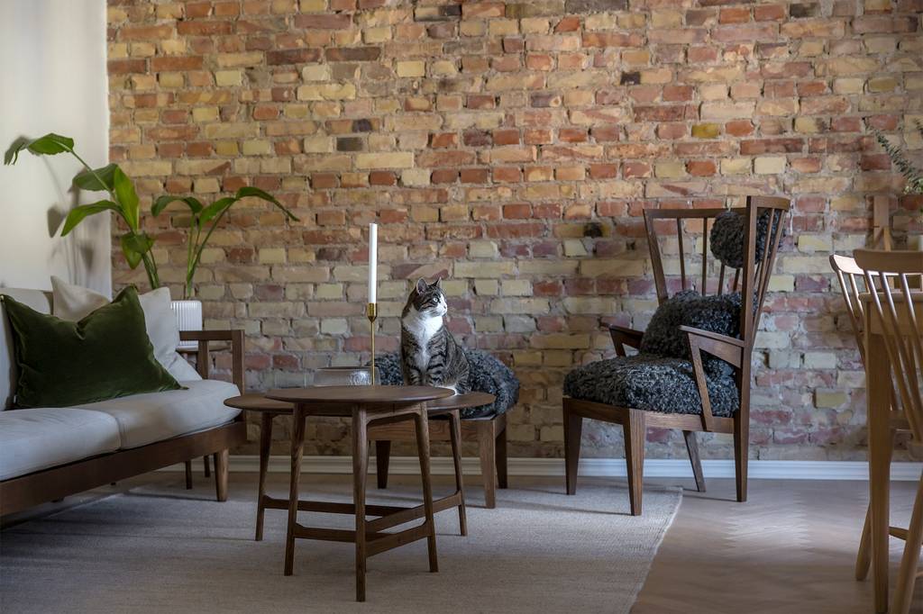 salon murs de briques appartement 64m2 décoration scandinave
