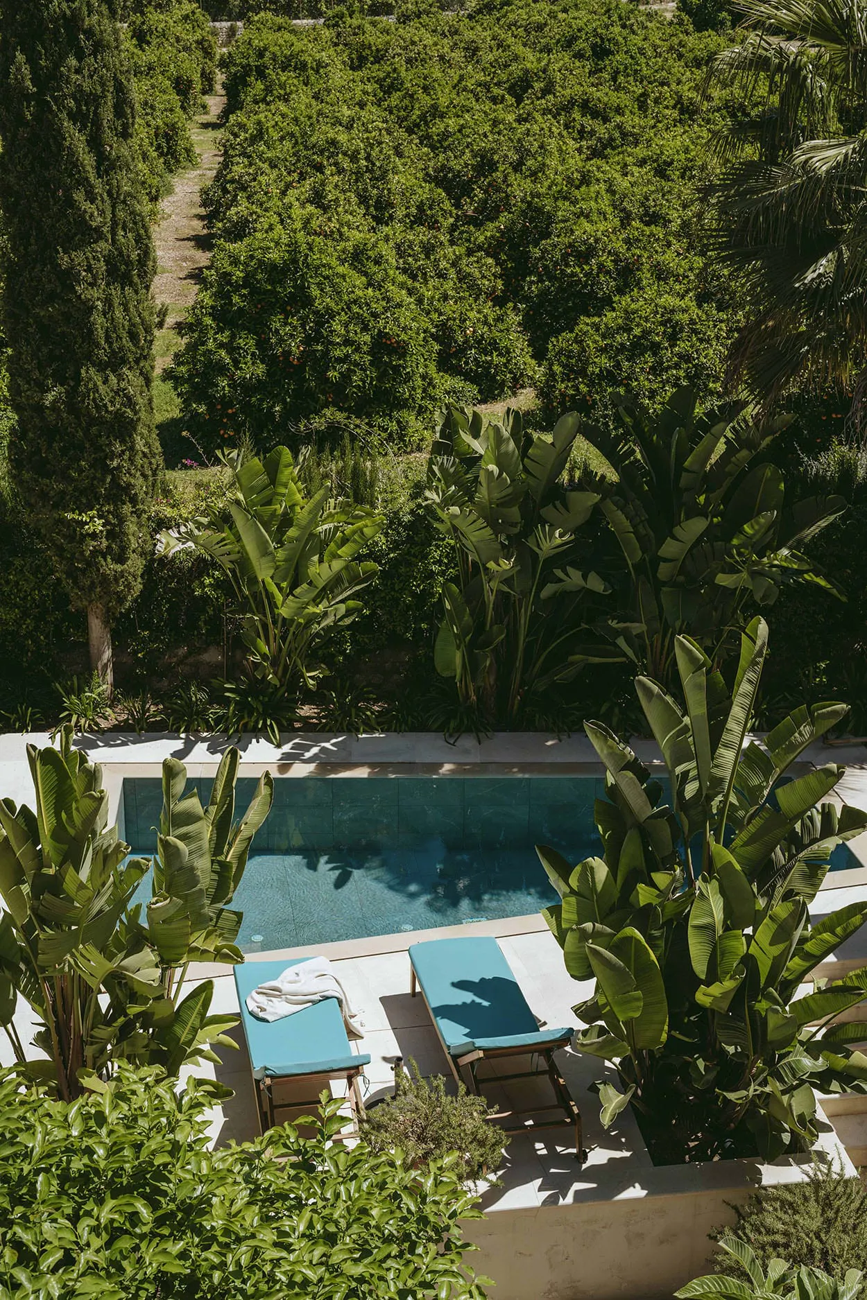 jardin méditerranéen avec piscine jardin méditerranéen avec piscine