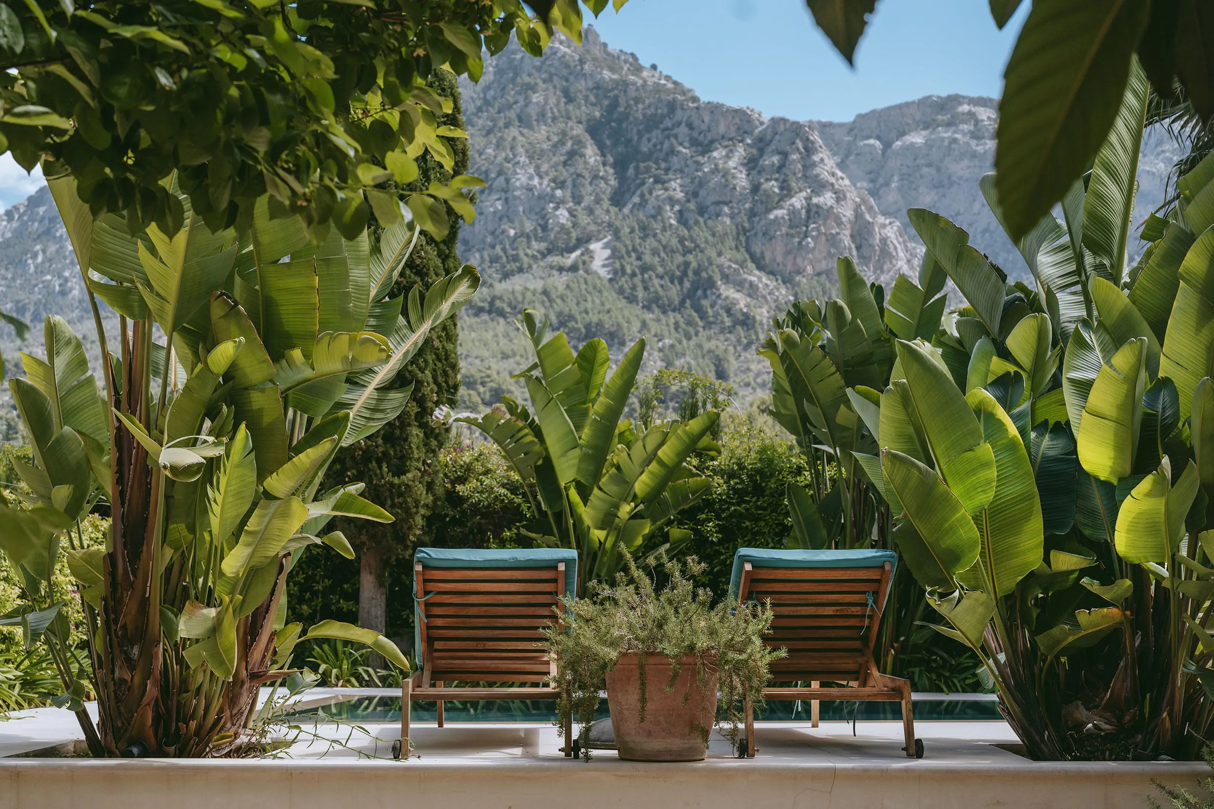 jardin avec piscine jardin avec piscine