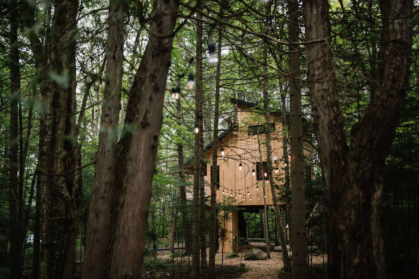 petite maison en bois