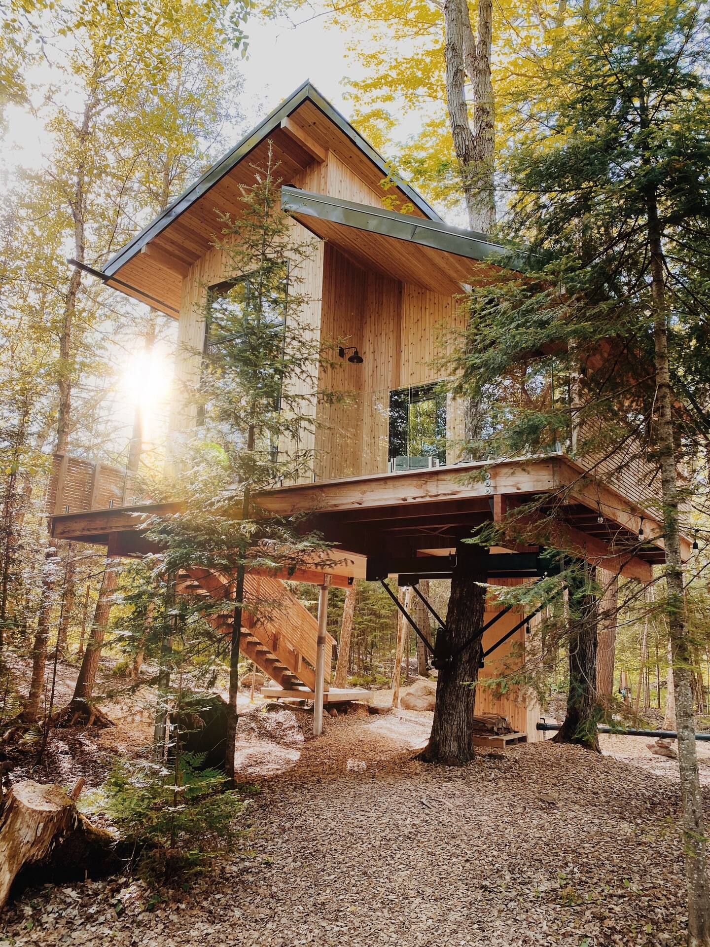 petite maison en bois