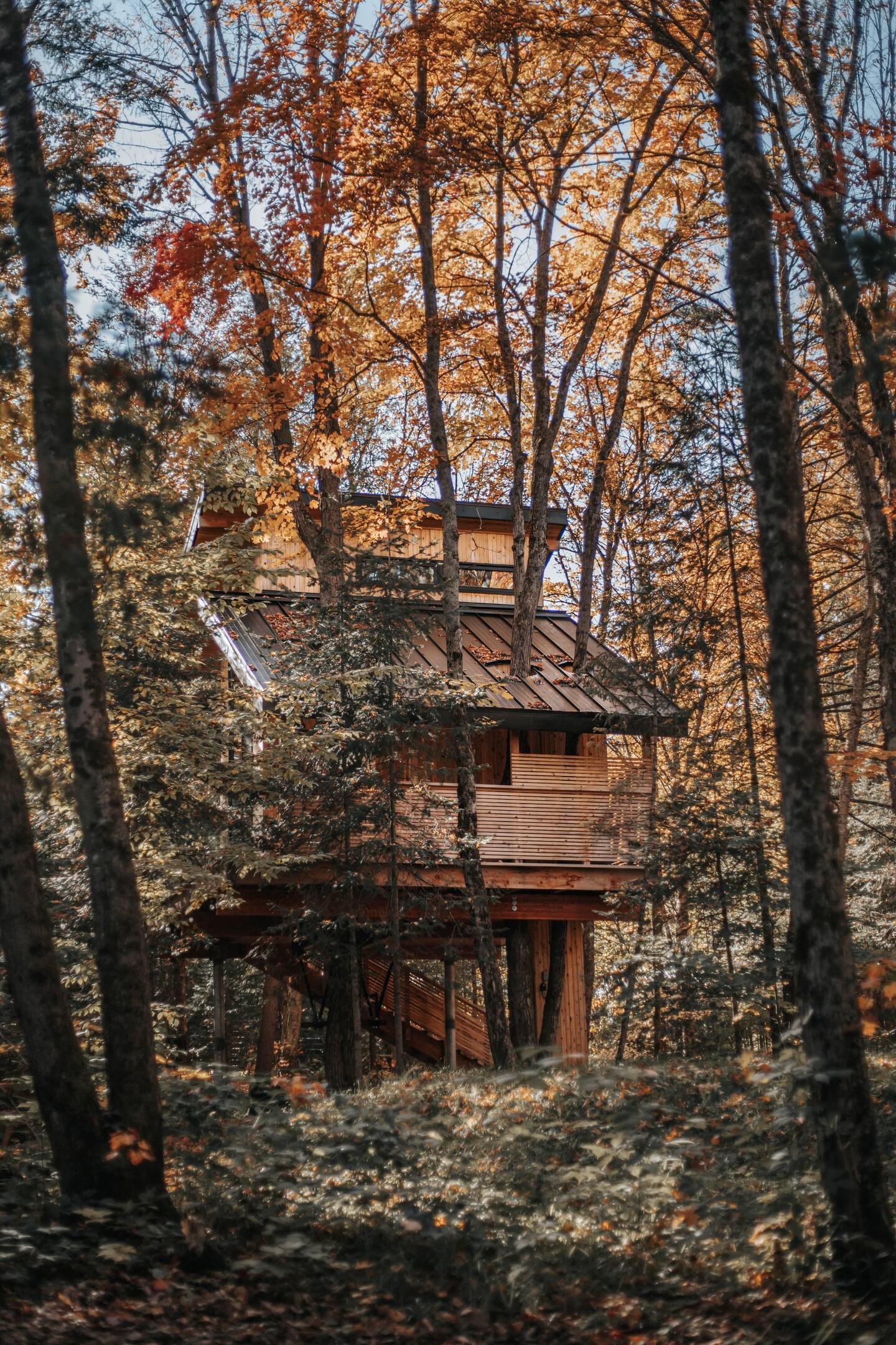 petite maison en bois