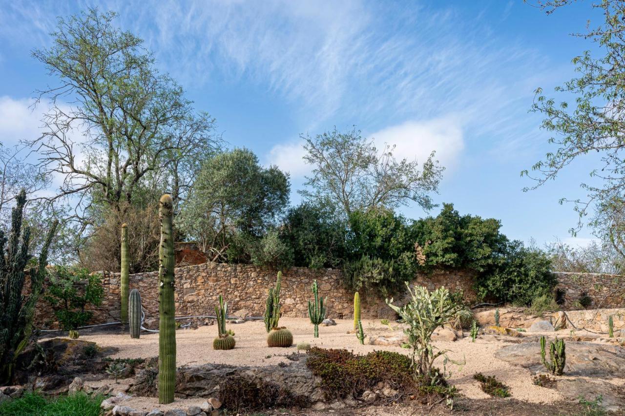 jardin sec maison en pierre Catalogne Mas del Suro jardin sec maison en pierre Catalogne Mas del Suro