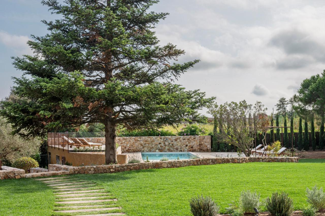 jardin avec piscine jardin avec piscine