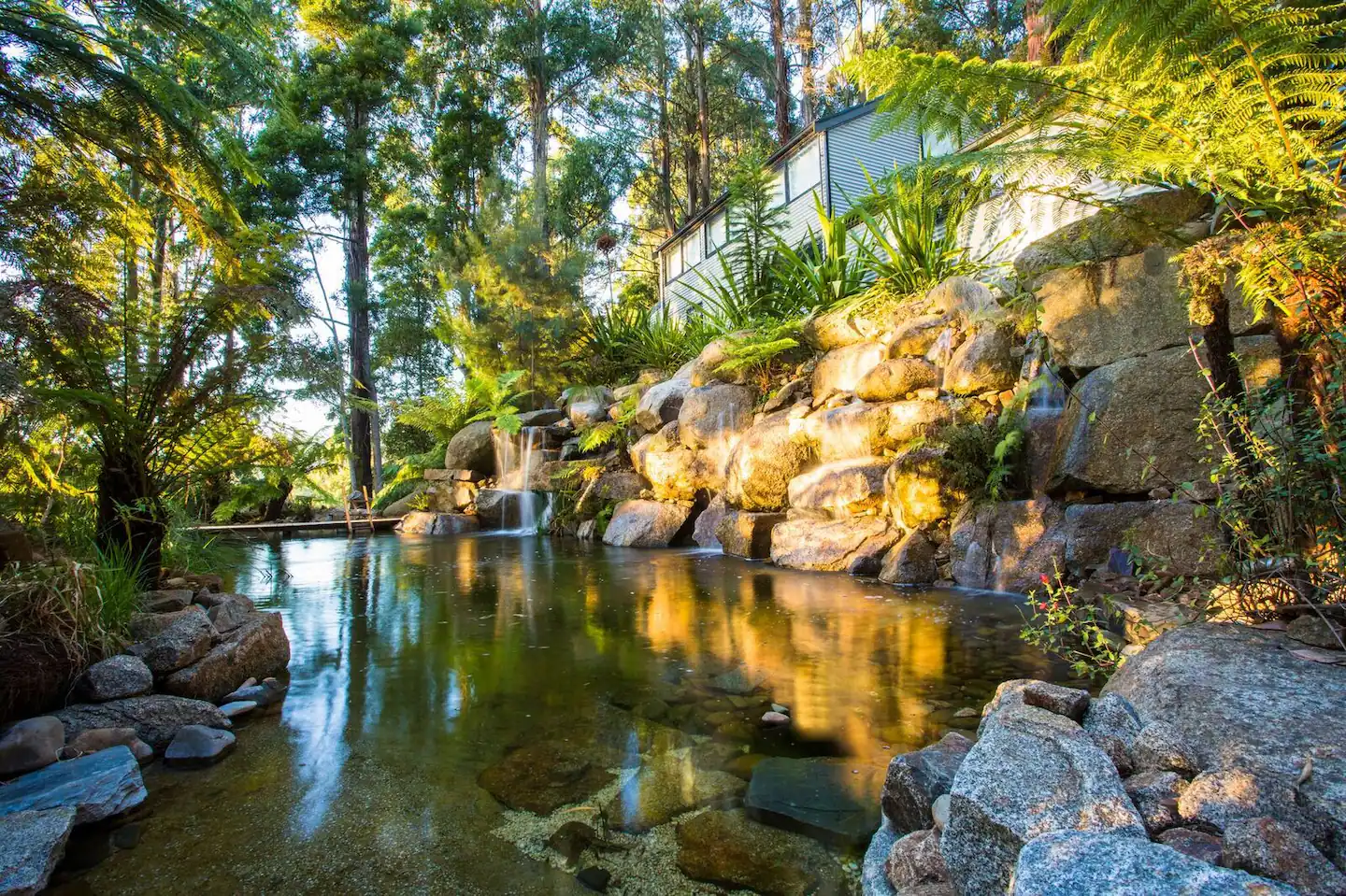 jardin avec piscine naturelle jardin avec piscine naturelle