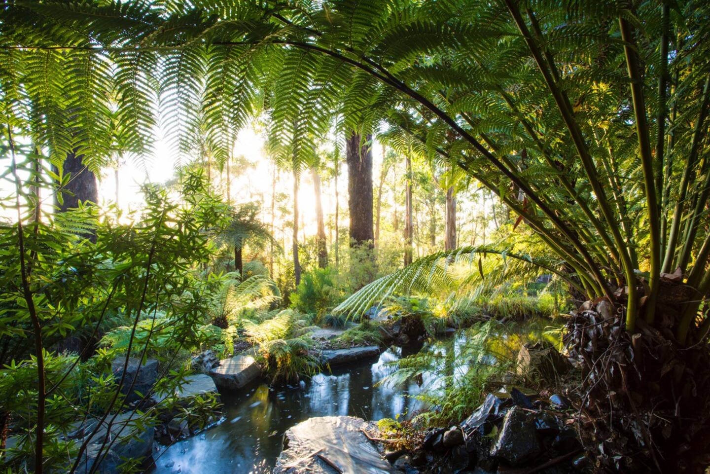 jardin avec piscine naturelle jardin avec piscine naturelle