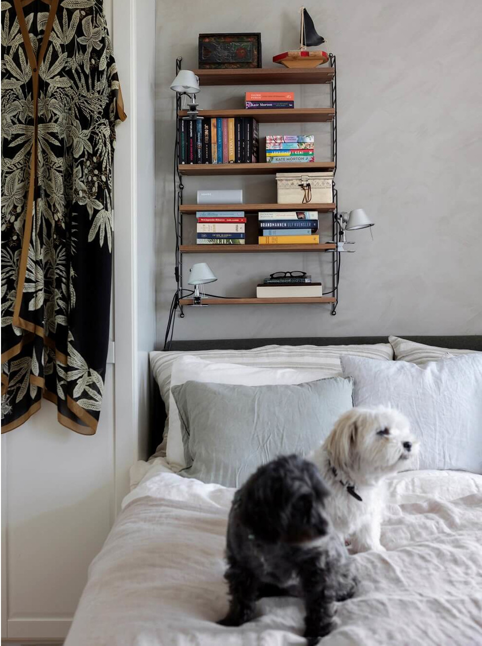 chambre avec chien sur le lit