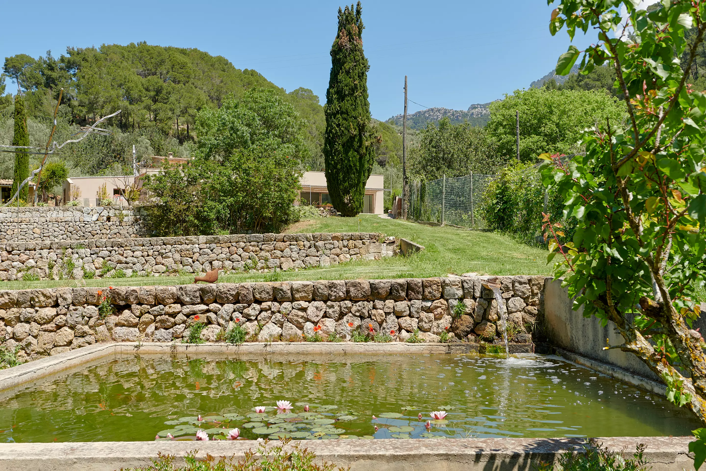 jardin en restanques jardin en restanques