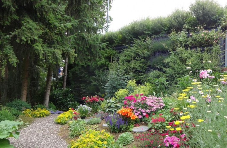 jardin fleuri jardin fleuri