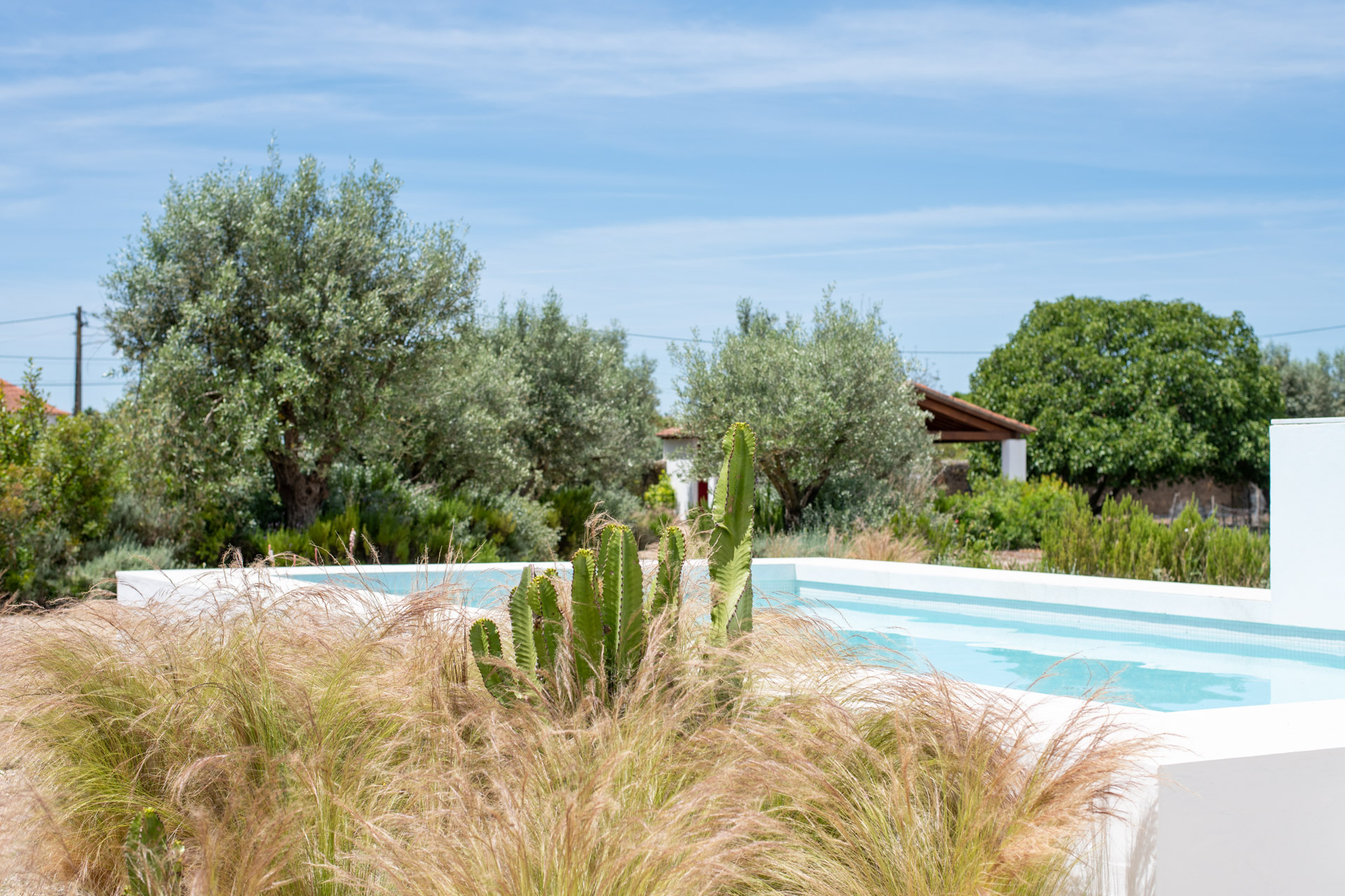 piscine piscine