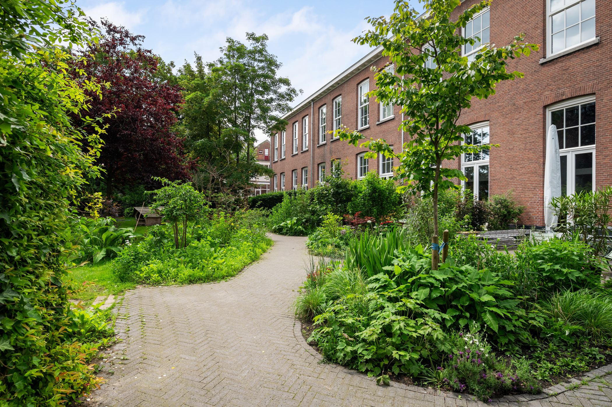 immeuble briques Rotterdam