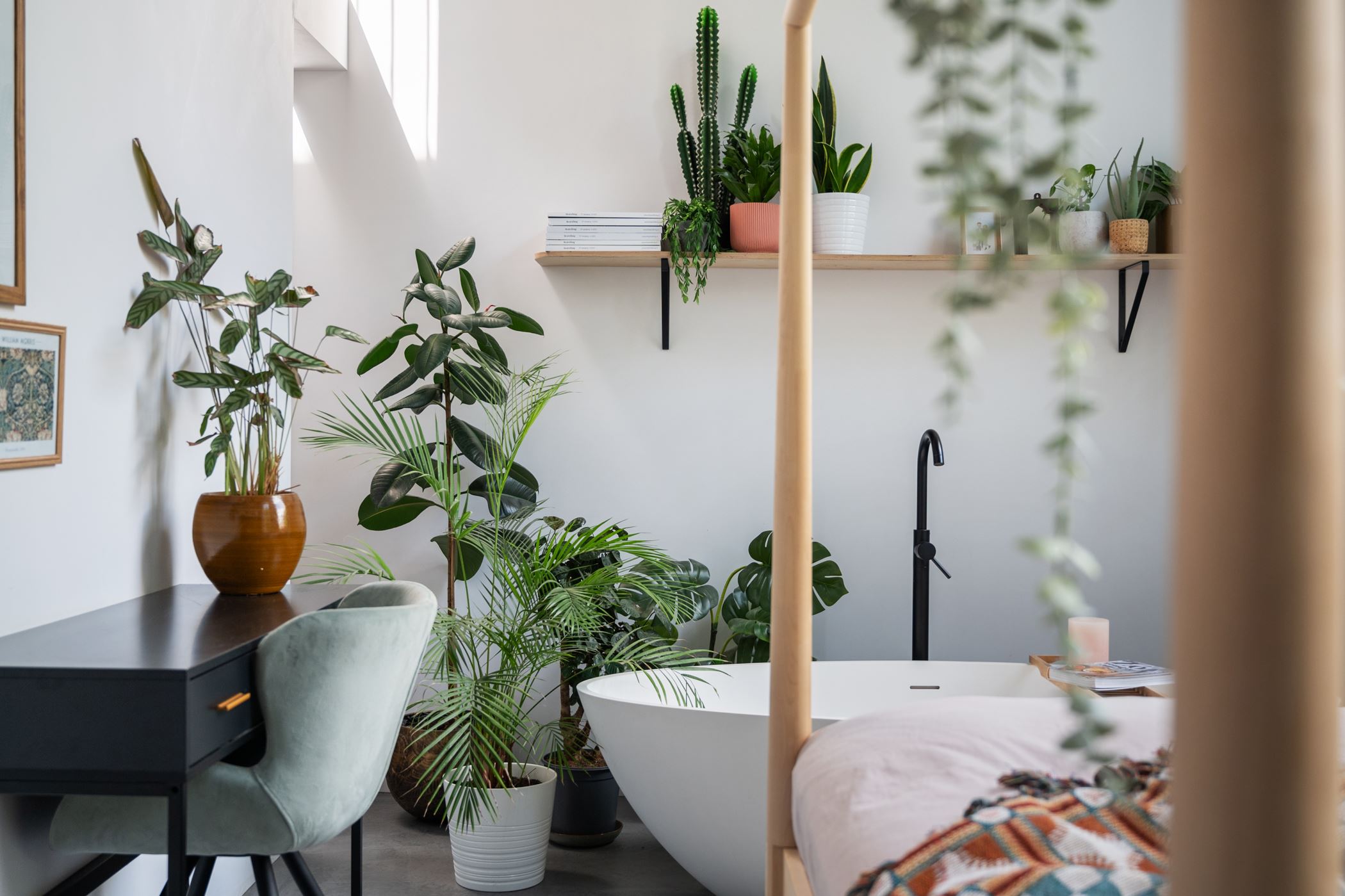 chambre avec baignoire