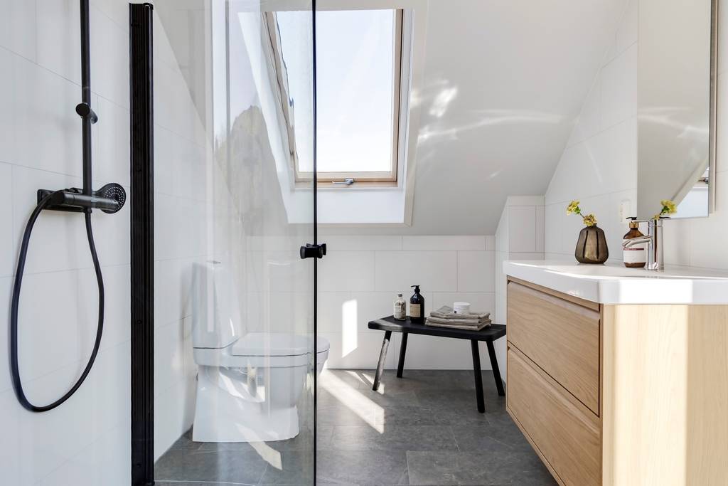 salle de bain avec velux