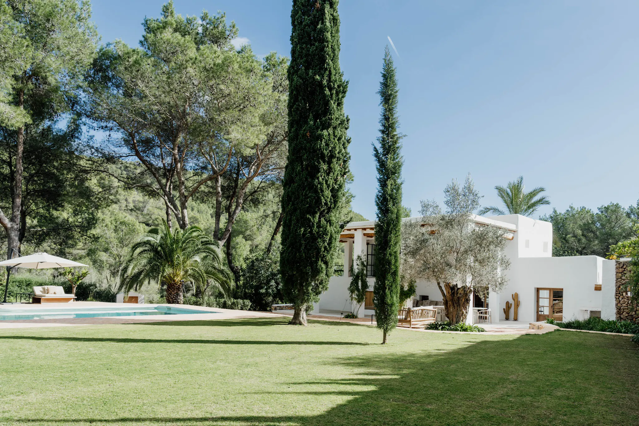 jardin avec cyprès et piscine jardin avec cyprès et piscine