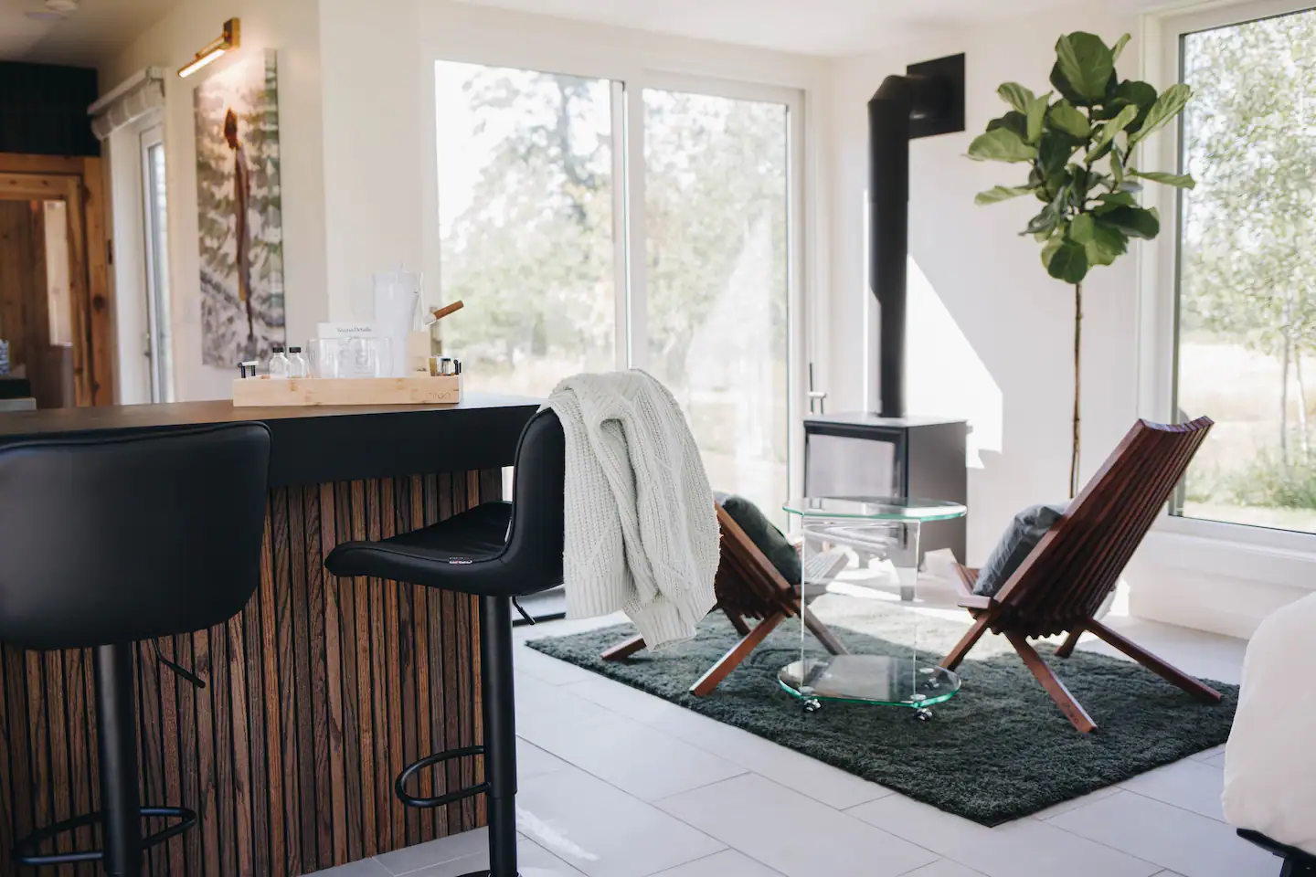 salon avec poêle maison container 45m2