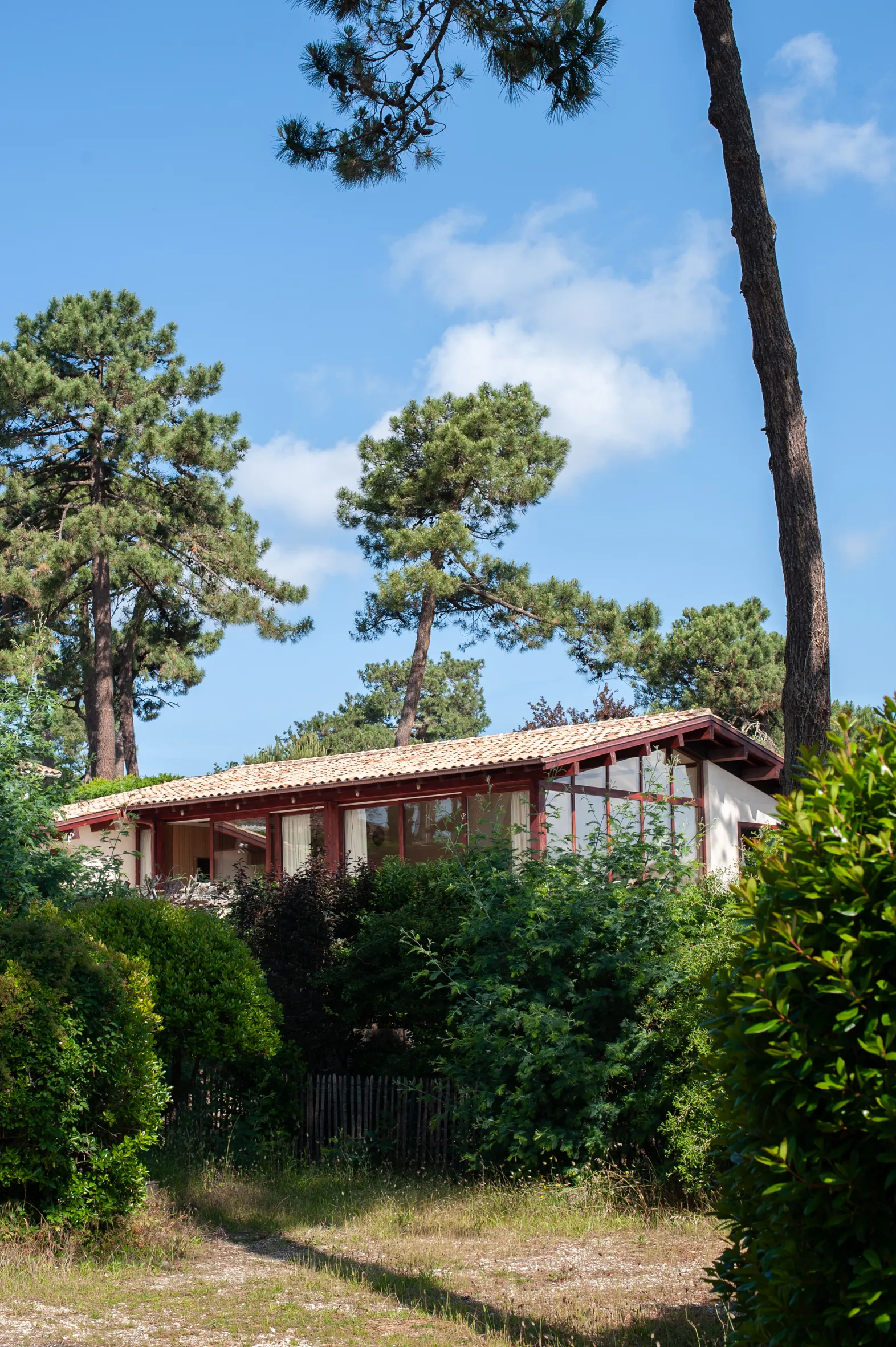 maison entourée de pins au Cap Ferret maison entourée de pins au Cap Ferret