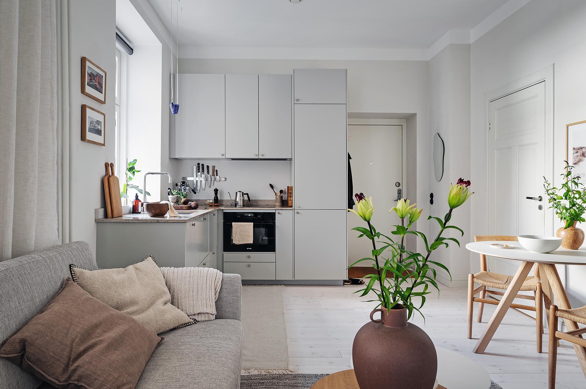 studio design de 28m2 avec cuisine en L studio design de 28m2 avec cuisine en L