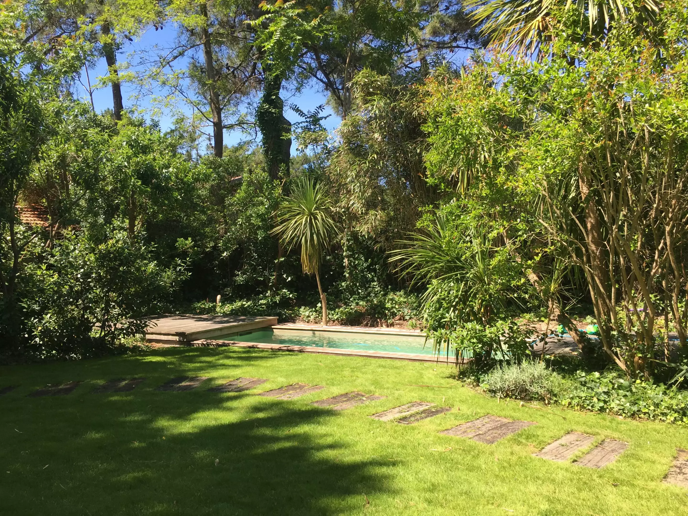jardin avec piscine jardin avec piscine