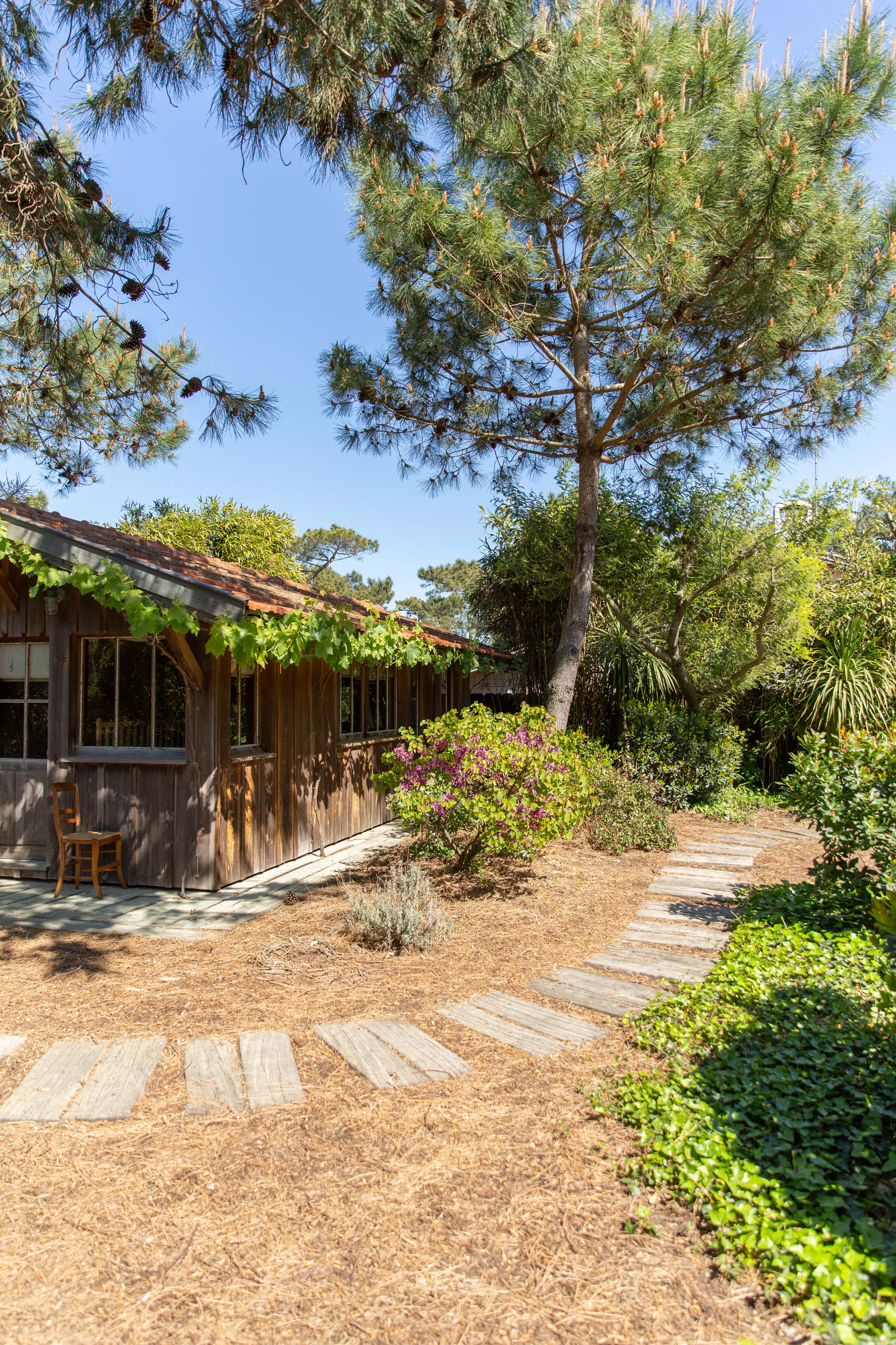 maison en bois à louer Cap Ferret maison en bois à louer Cap Ferret