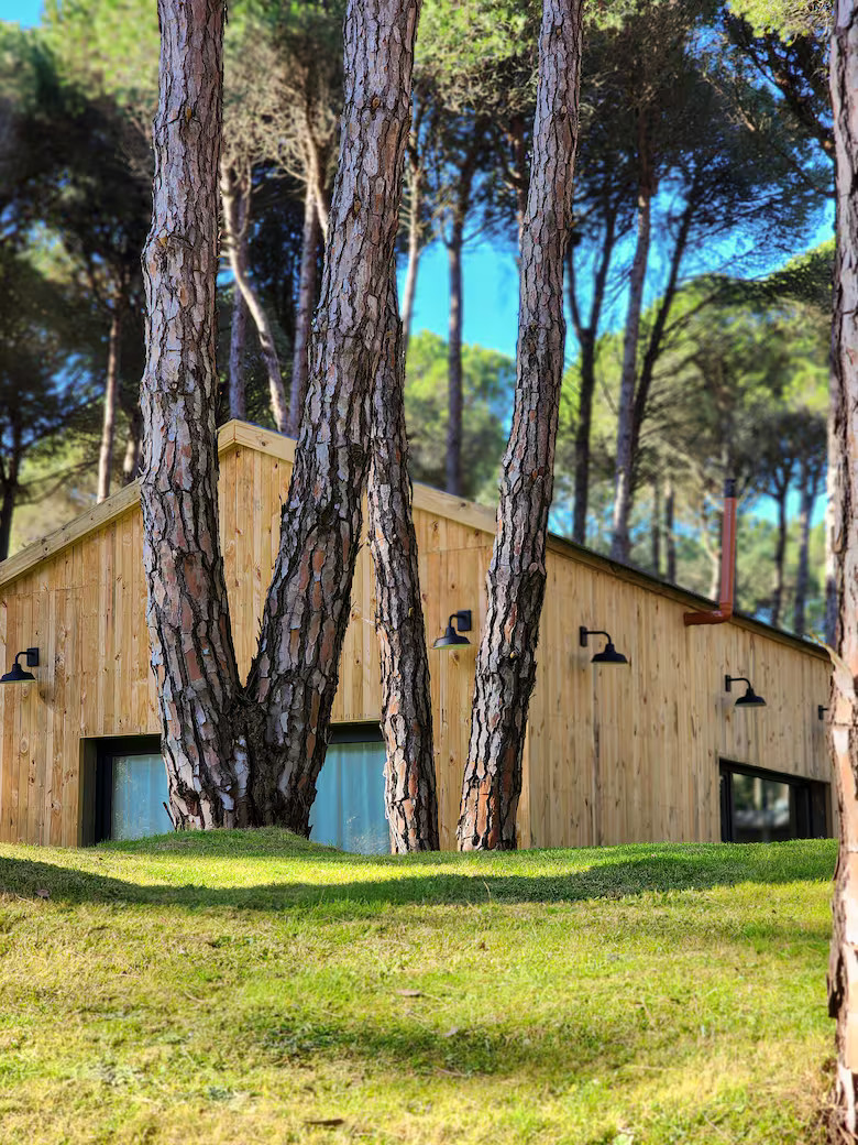maison en bois