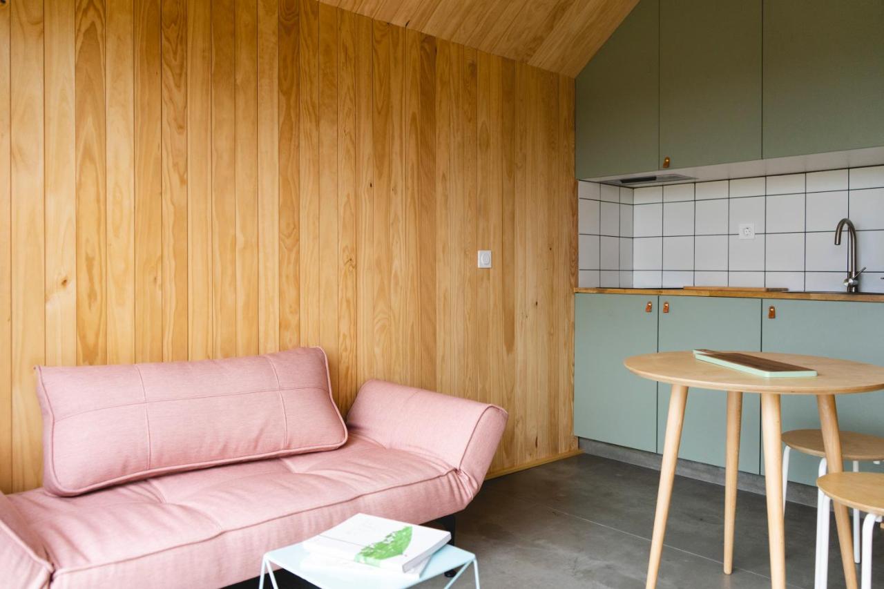 salon avec cuisine ouverte verte petite maison en bois