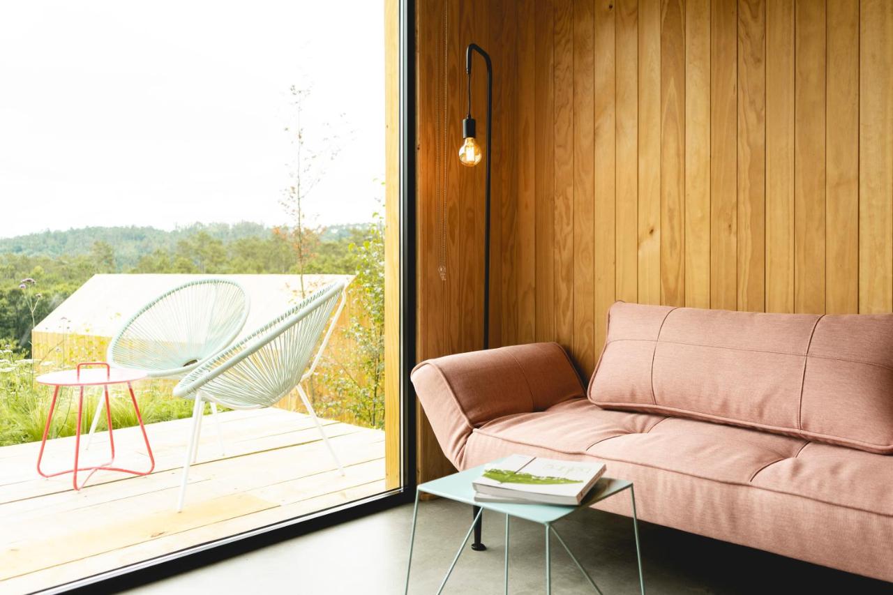 salon avec baie vitrée petite maison en bois