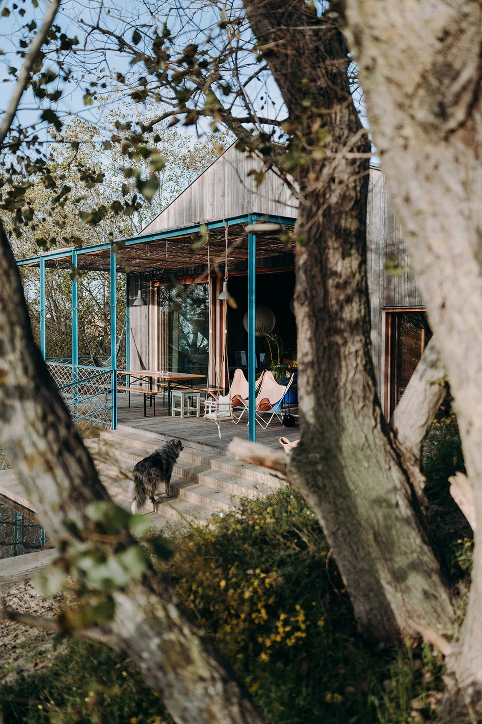 maison bois rénovée décoration contemporaine