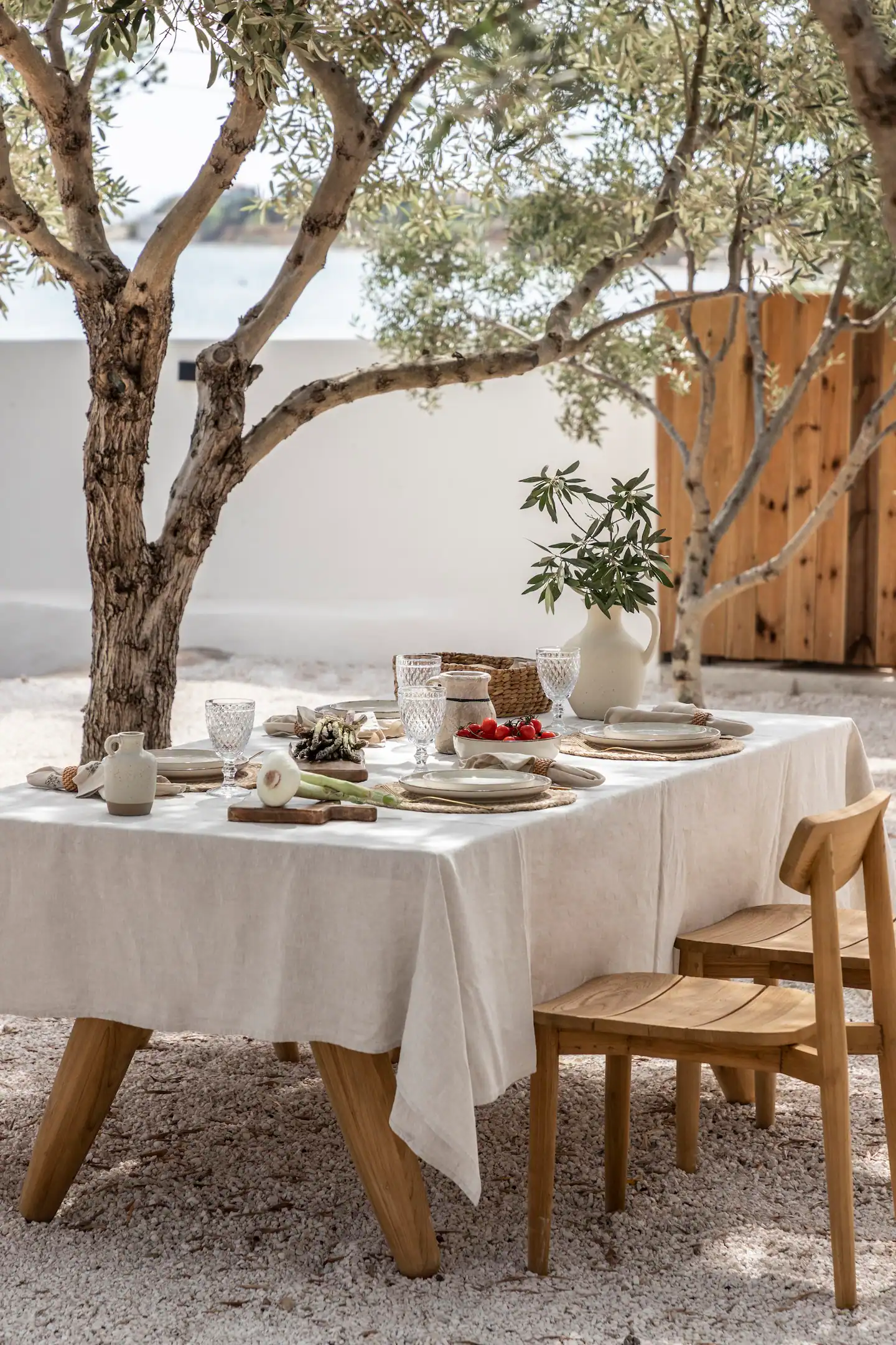 salle à manger extérieure sous olivier