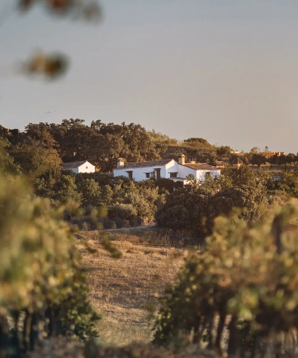 Finca La Donaira Finca La Donaira