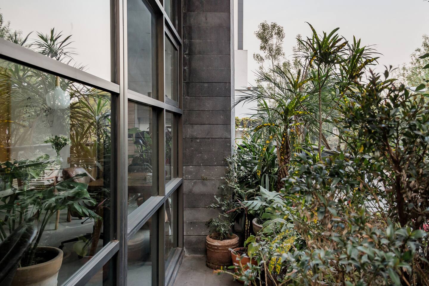balcon filant avec plantes vertes appartement décoration contemporaine