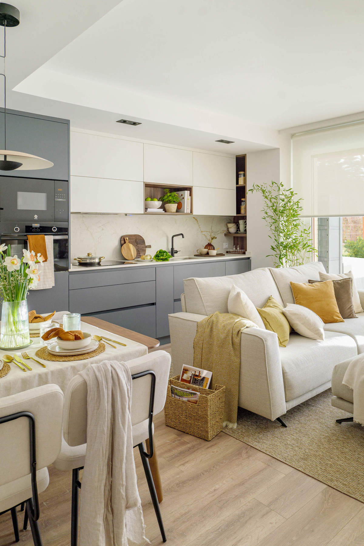 salon et cuisine ouverte deux-pièces 40m2