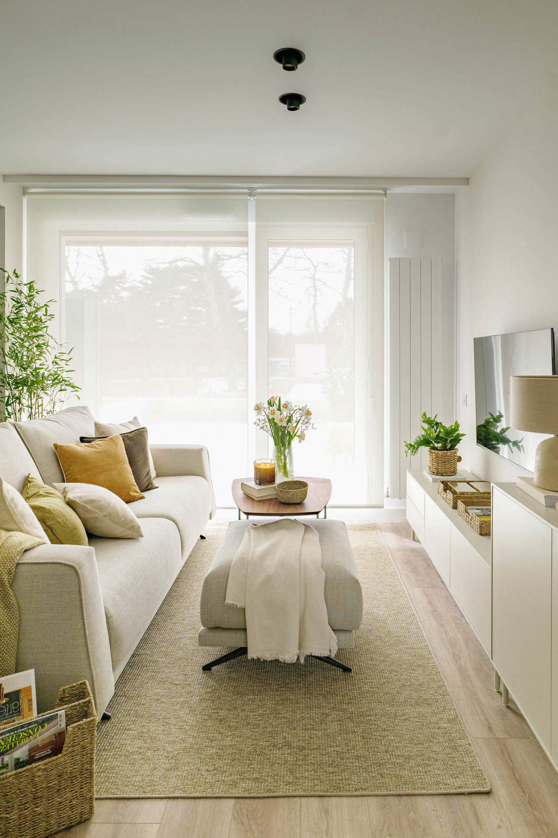 salon deux-pièces 40m2