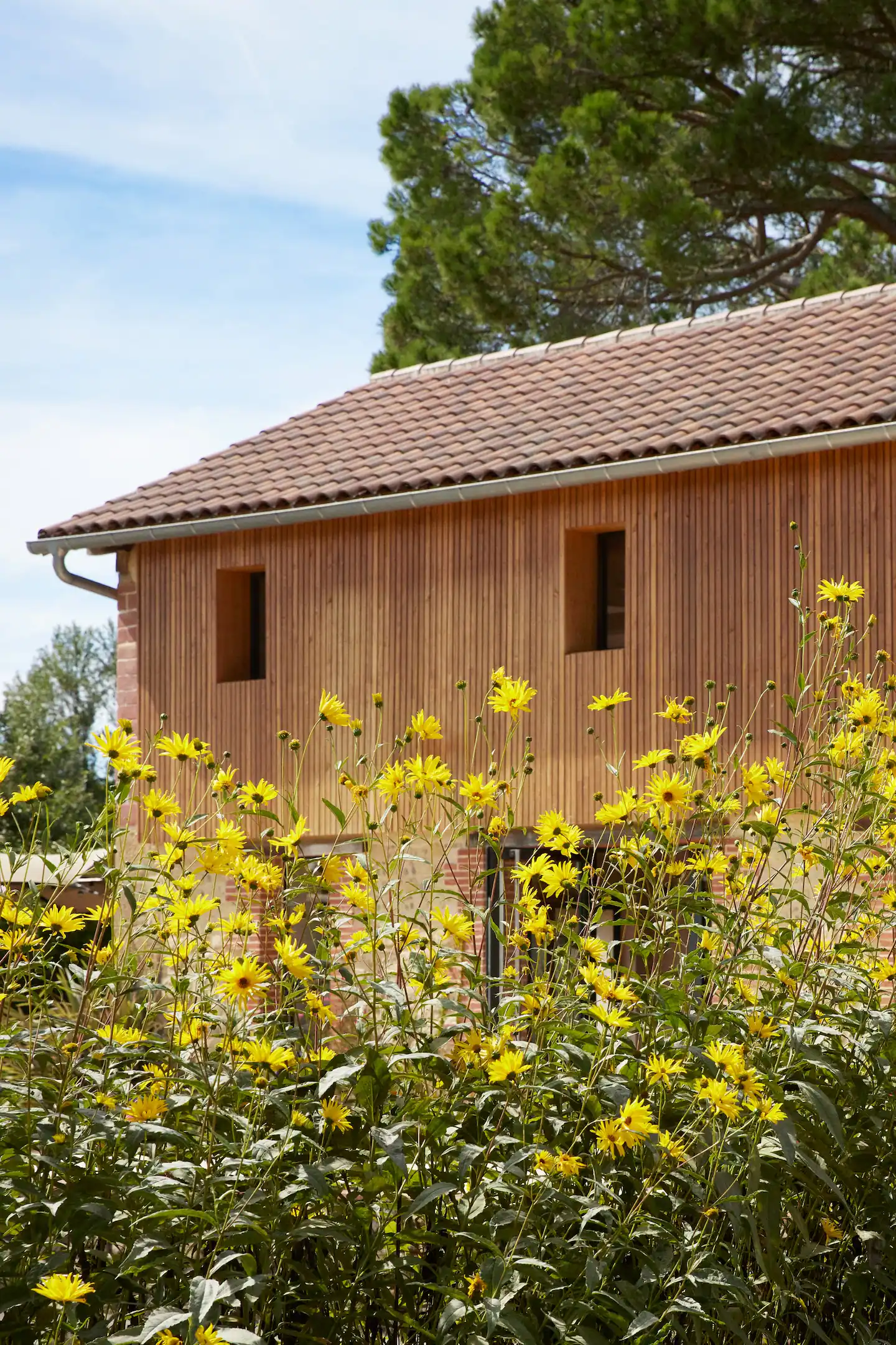 maison Antoine Dupont offre Airbnb maison Antoine Dupont offre Airbnb