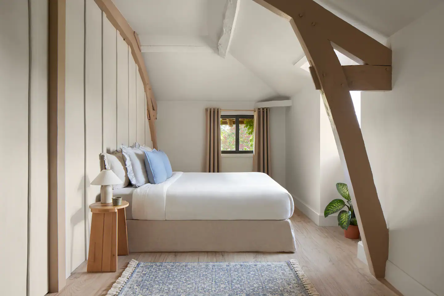 chambre maison Antoine Dupont offre Airbnb chambre maison Antoine Dupont offre Airbnb