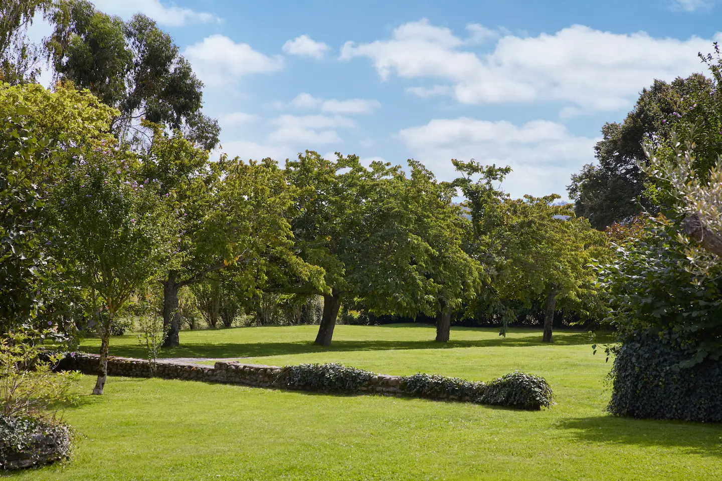 jardin jardin