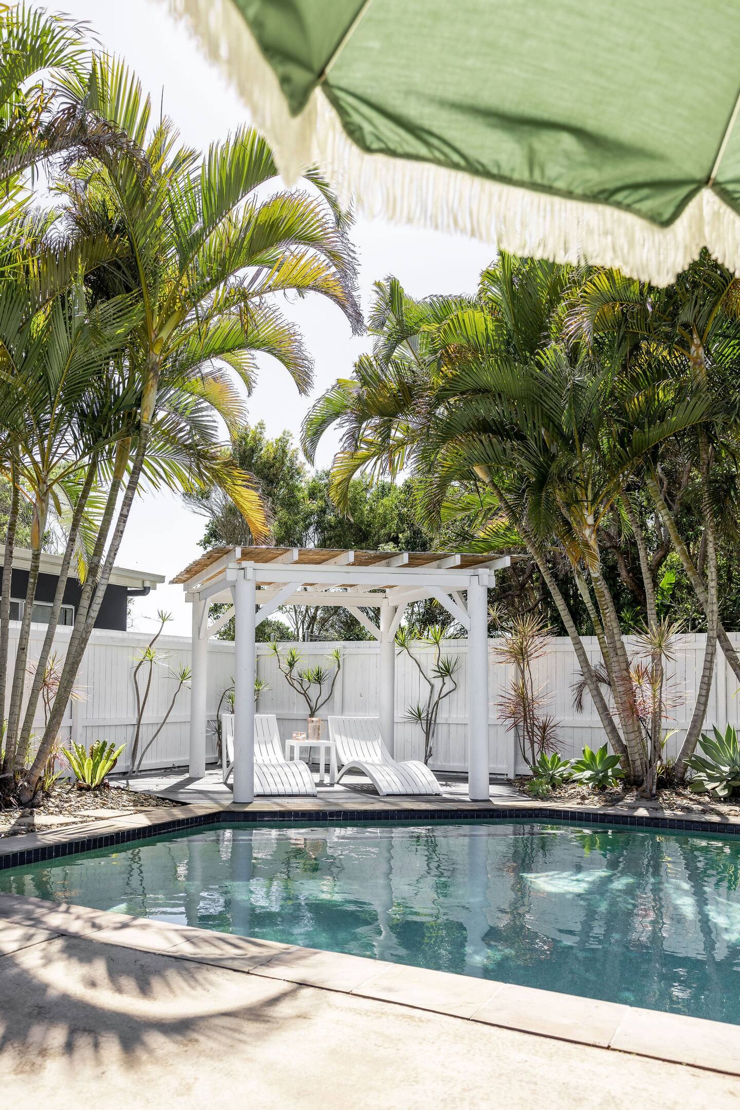 jardin avec palmier et piscine jardin avec palmier et piscine