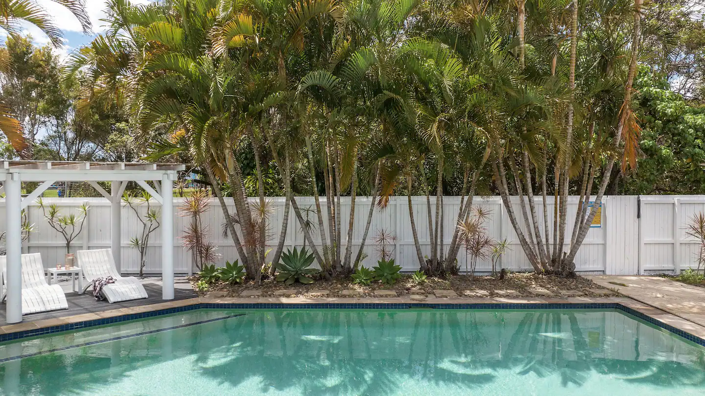 jardin avec palmier et piscine jardin avec palmier et piscine