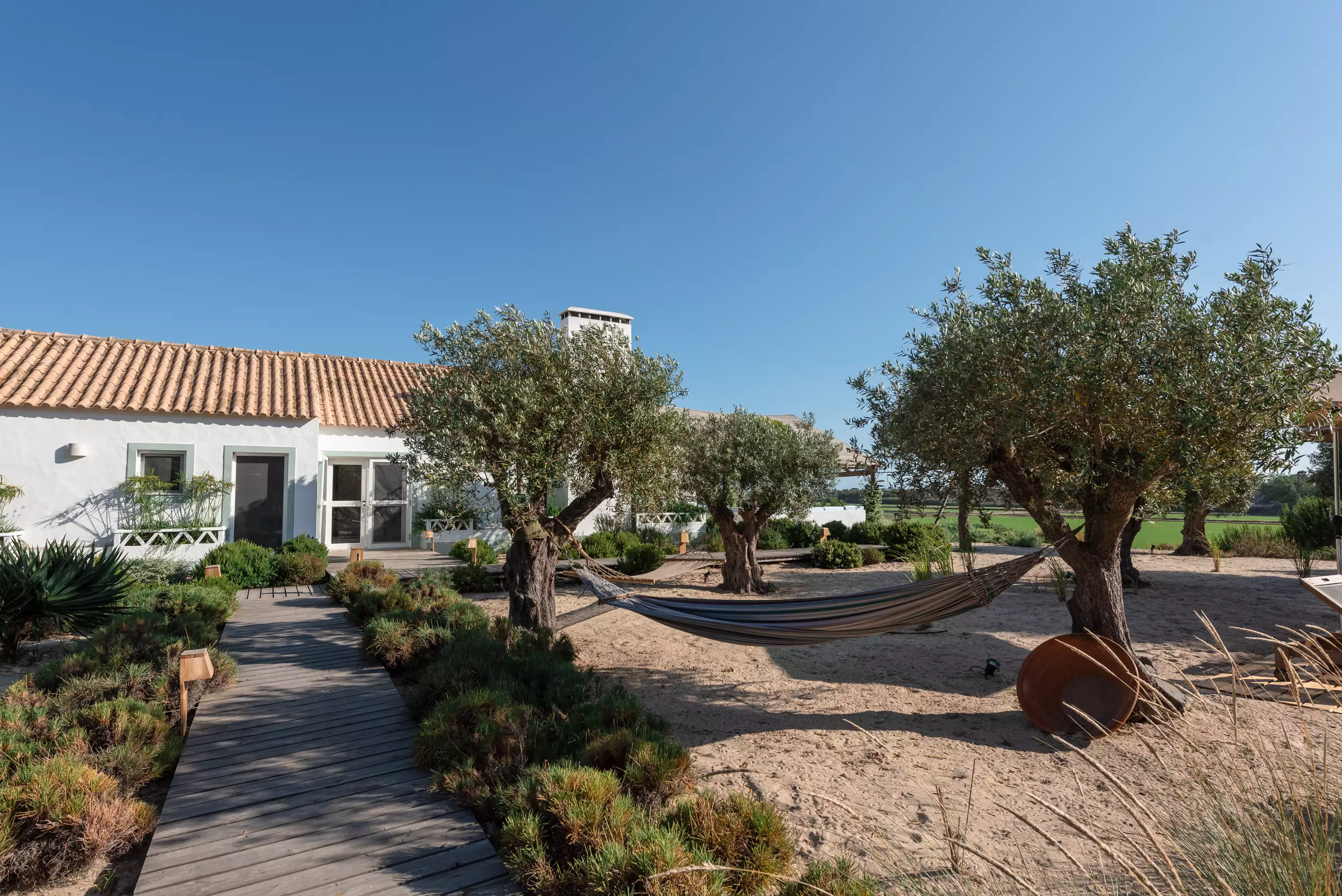 maison Comporta avec oliviers maison Comporta avec oliviers
