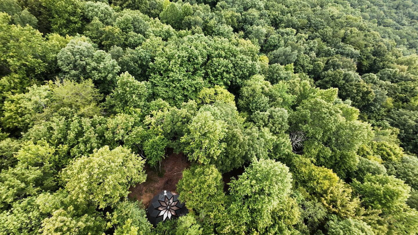 petite maison au dôme de verre dans la forêt The Laurel Zome