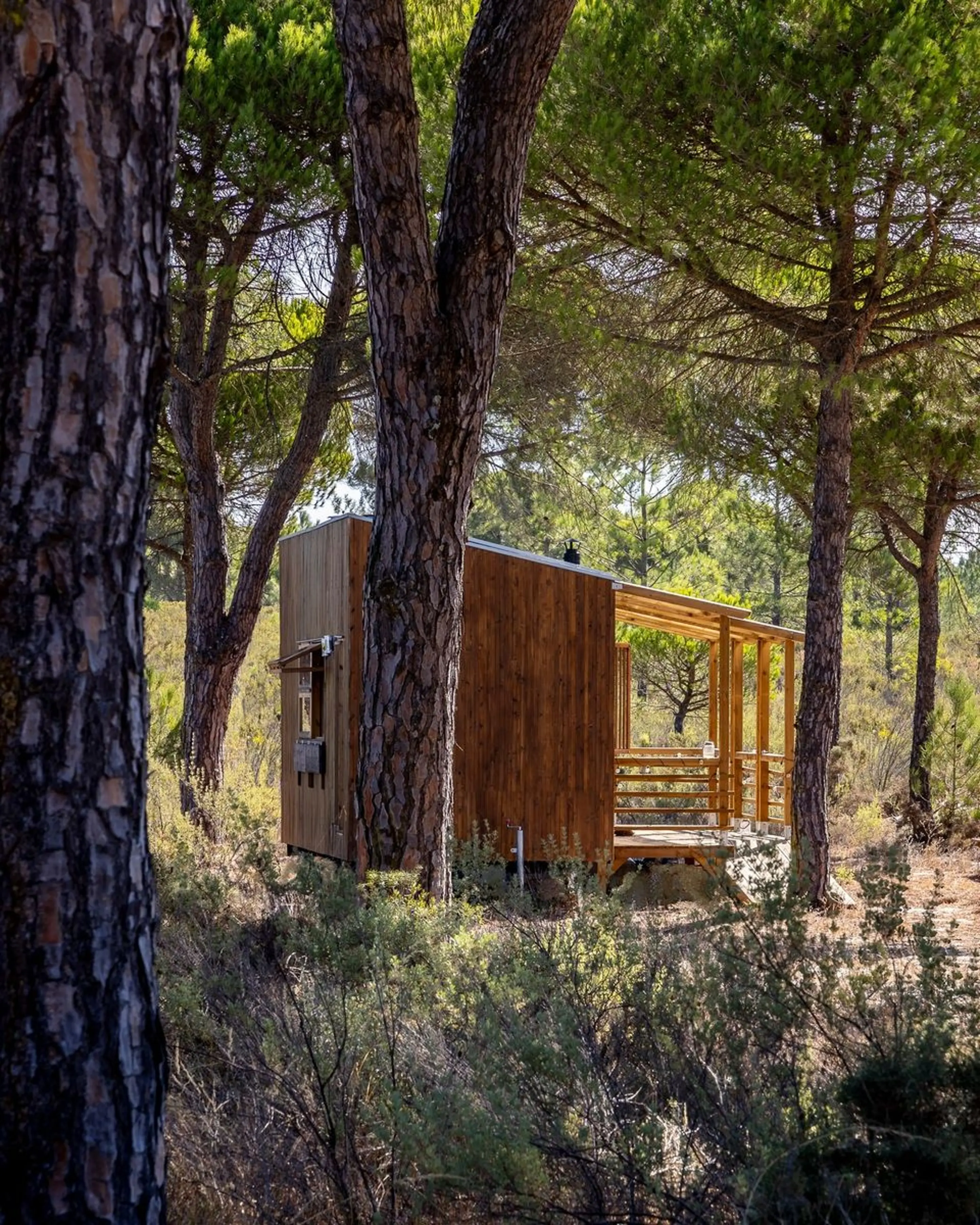 tiny house Madeiguincho tiny house Madeiguincho
