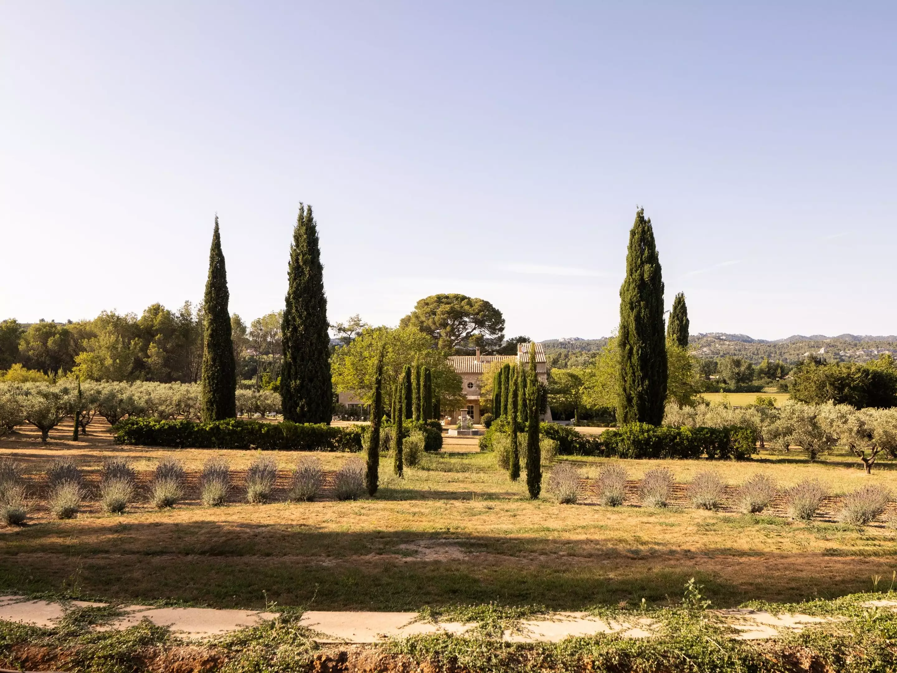 jardin avec cyprès maison en pierres Provence