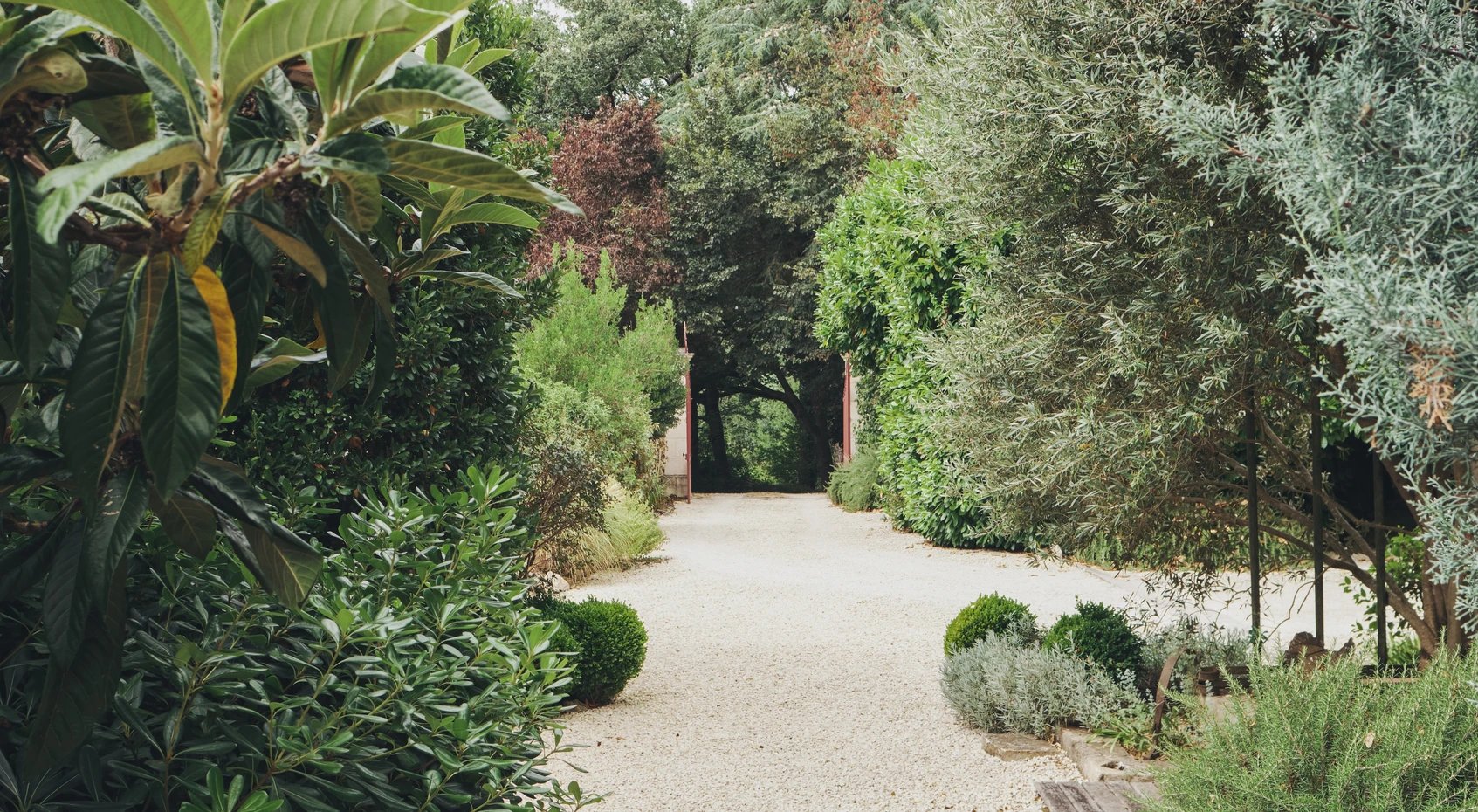 jardin maison ancienne en pierres Gers jardin maison ancienne en pierres Gers