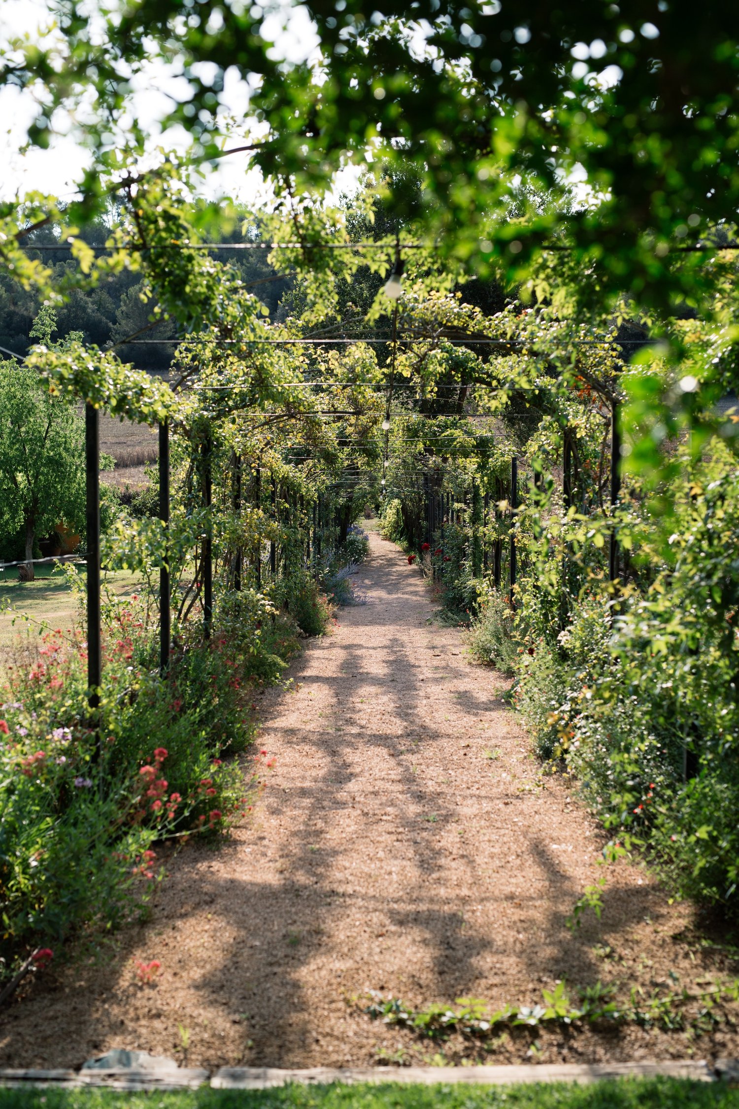 allée avec pergola Mas Flor allée avec pergola Mas Flor