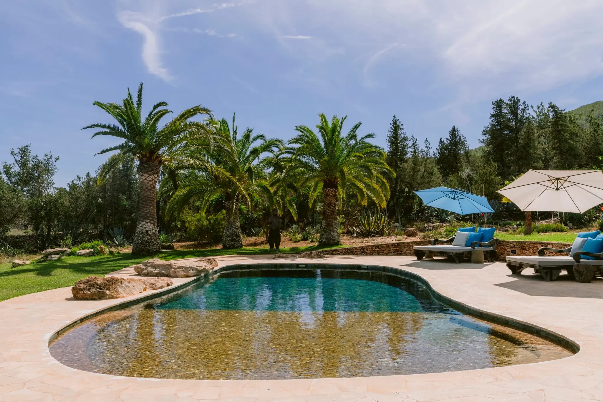 piscine avec palmiers piscine avec palmiers