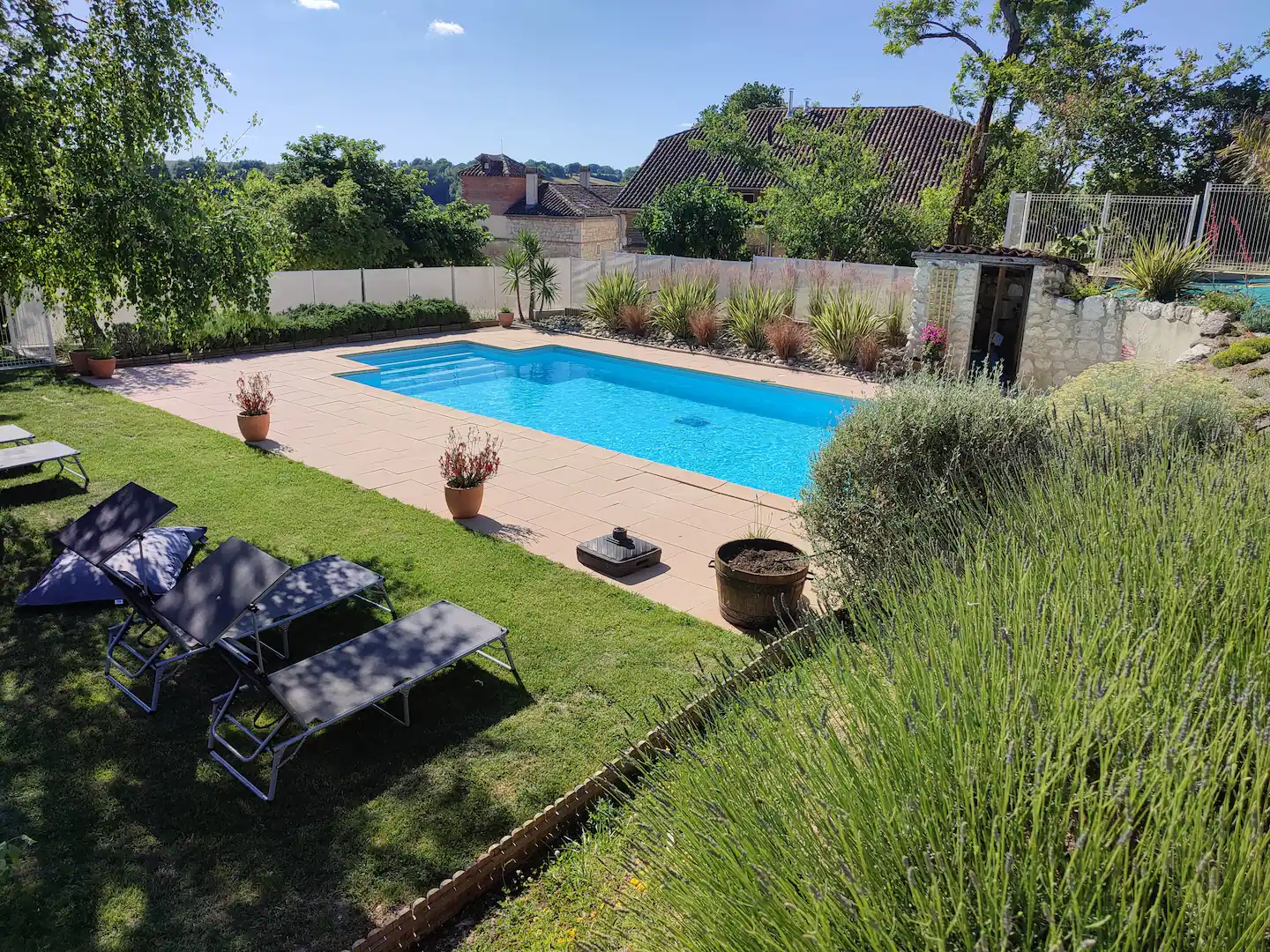 jardin avec piscine