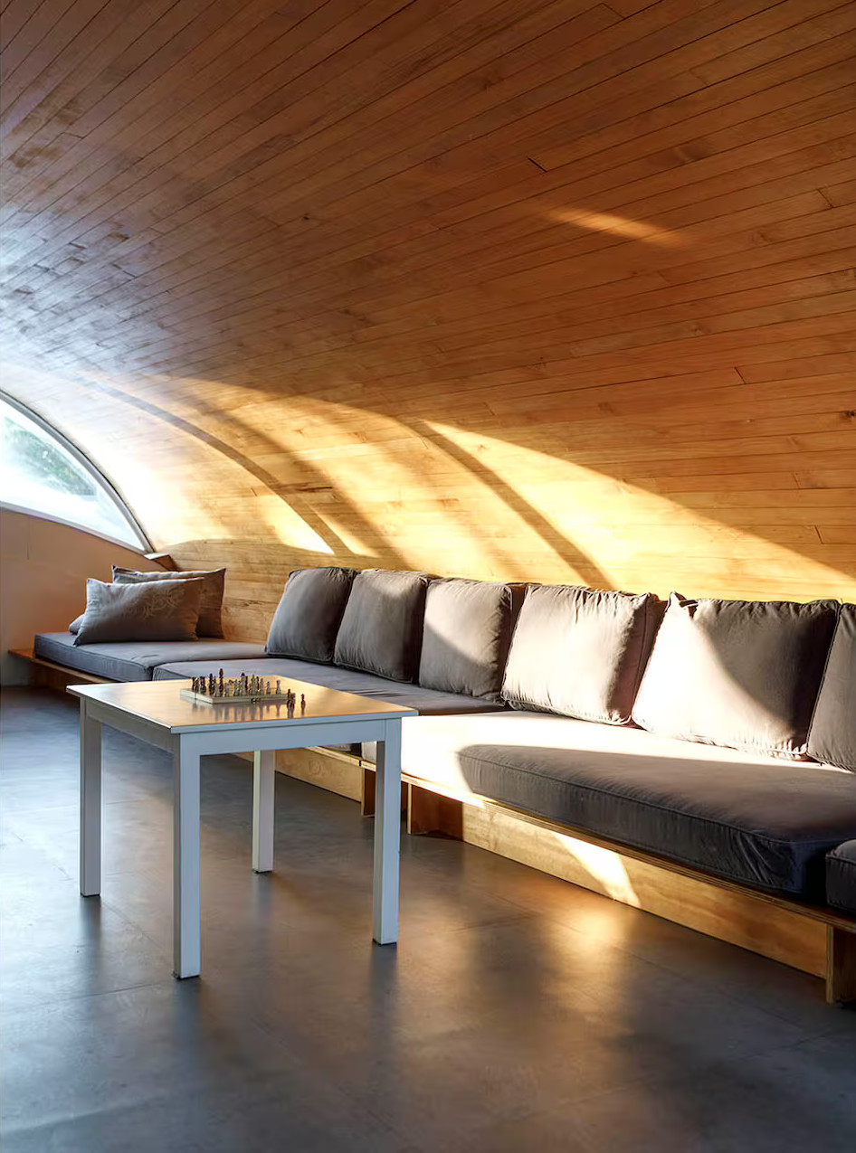 salon décoration contemporaine plafond cintré en bois 